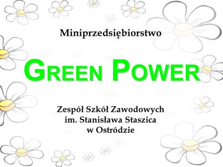 G REEN P OWER Zespół Szkół Zawodowych im. Stanisława Staszica w Ostródzie Miniprzedsiębiorstwo.