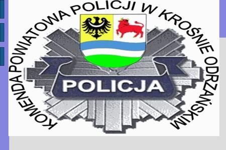 OCENA PRACY KOMENDY POWIATOWEJ POLICJI W KROŚNIE ODRZAŃSKIM ZA 2008 ROK.
