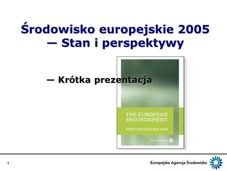 1 Środowisko europejskie 2005 Stan i perspektywy Krótka prezentacja Krótka prezentacja.