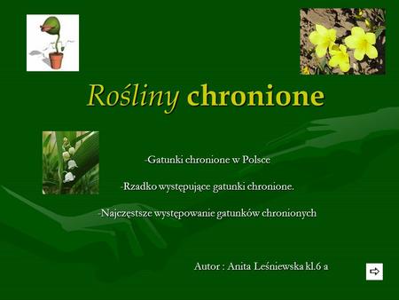 Rośliny chronione -Gatunki chronione w Polsce