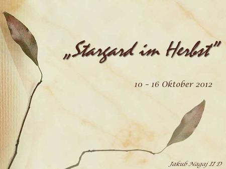 Stargard im Herbst 10 – 16 Oktober 2012 Jakub Nagaj II D.