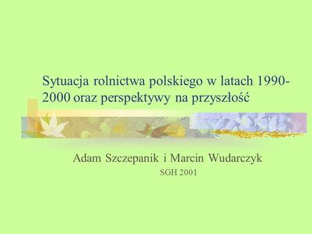 Adam Szczepanik i Marcin Wudarczyk SGH 2001