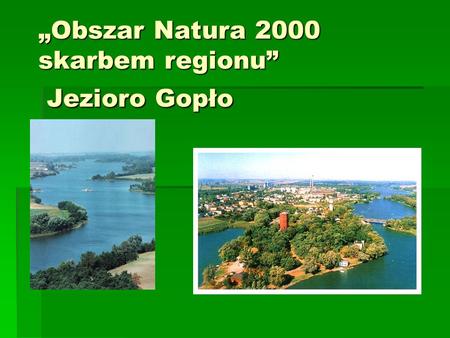 „Obszar Natura 2000 skarbem regionu” Jezioro Gopło