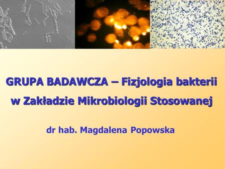 dr hab. Magdalena Popowska