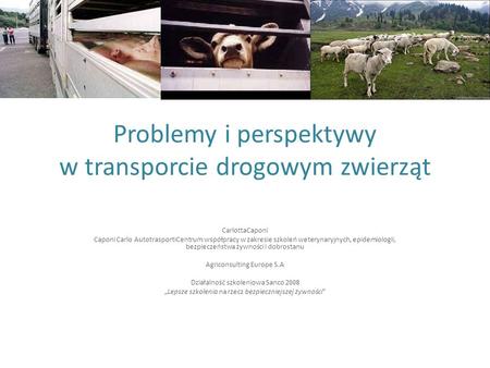 Problemy i perspektywy w transporcie drogowym zwierząt