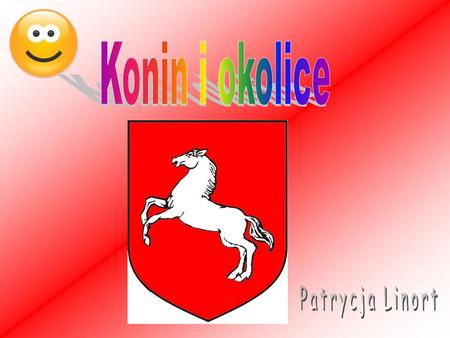 Konin i okolice Patrycja Linort.