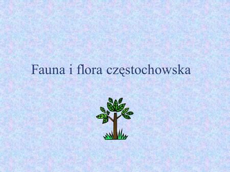 Fauna i flora częstochowska