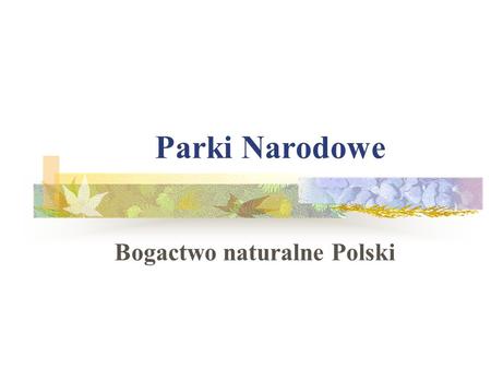 Bogactwo naturalne Polski
