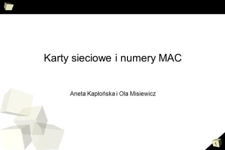 Karty sieciowe i numery MAC Aneta Kapłońska i Ola Misiewicz