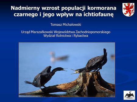 Nadmierny wzrost populacji kormorana czarnego i jego wpływ na ichtiofaunę Tomasz Michałowski Urząd Marszałkowski Województwa Zachodniopomorskiego Wydział.