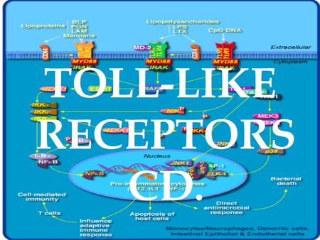TOLL-LIKE RECEPTORS CD.