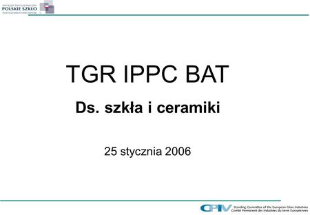 TGR IPPC BAT Ds. szkła i ceramiki 25 stycznia 2006.