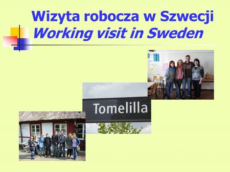 Wizyta robocza w Szwecji Working visit in Sweden.