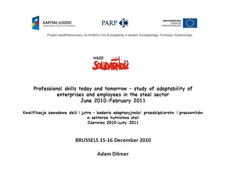 Professional skills today and tomorrow – study of adaptability of enterprises and employees in the steel sector June 2010-February 2011 Kwalifikacje zawodowe.