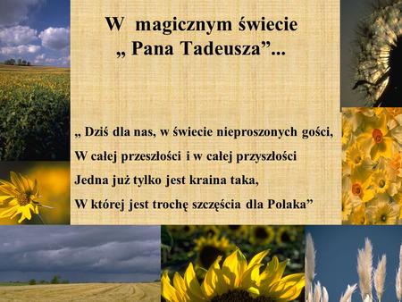 W magicznym świecie „ Pana Tadeusza”...