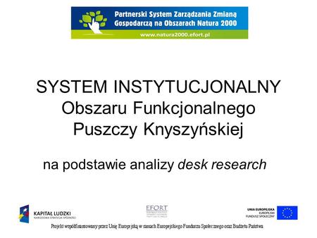 SYSTEM INSTYTUCJONALNY Obszaru Funkcjonalnego Puszczy Knyszyńskiej na podstawie analizy desk research.