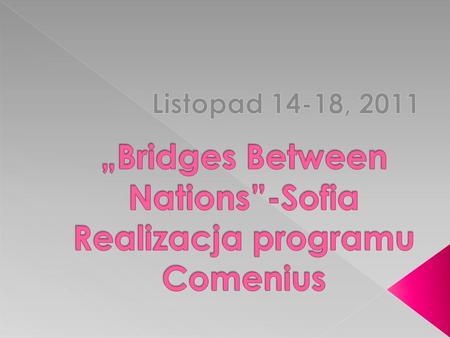 „Bridges Between Nations”-Sofia Realizacja programu Comenius