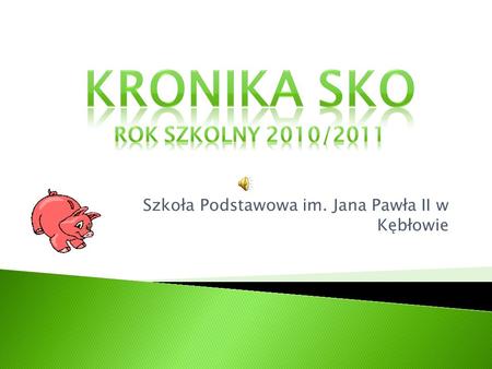 Kronika SKO rok szkolny 2010/2011