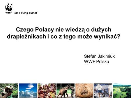 Czego Polacy nie wiedzą o dużych drapieżnikach i co z tego może wynikać? Stefan Jakimiuk WWF Polska.