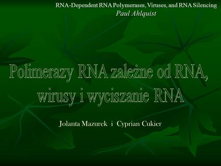 Polimerazy RNA zależne od RNA, wirusy i wyciszanie RNA