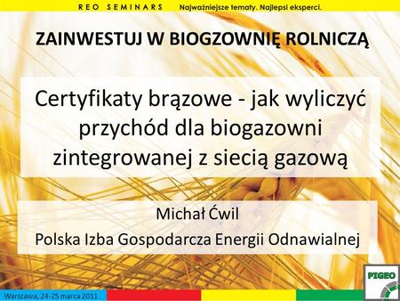 Michał Ćwil Polska Izba Gospodarcza Energii Odnawialnej