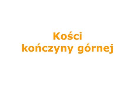 Kości kończyny górnej.