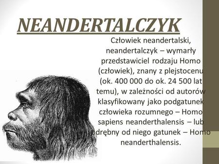 NEANDERTALCZYK Człowiek neandertalski, neandertalczyk – wymarły przedstawiciel rodzaju Homo (człowiek), znany z plejstocenu (ok. 400 000 do ok. 24 500.