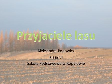 Aleksandra Popowicz Klasa VI Szkoła Podstawowa w Kopyłowie.
