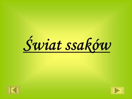 Świat ssaków.