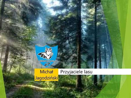Michał Jagodziński Przyjaciele lasu.
