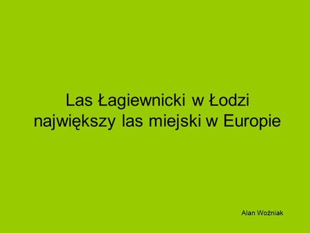 Las Łagiewnicki w Łodzi największy las miejski w Europie