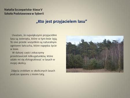 Natalia Szczepańska- klasa V Szkoła Podstawowa w Syberii „Kto jest przyjacielem lasu” Uważam, że największymi przyjaciółmi lasu są zwierzęta, które w tym.