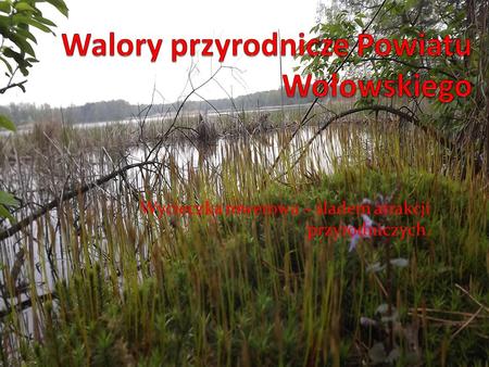 Walory przyrodnicze Powiatu Wołowskiego