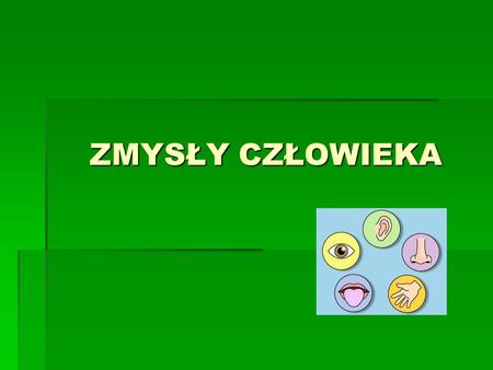 ZMYSŁY CZŁOWIEKA.