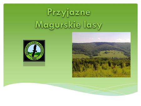 Przyjazne Magurskie lasy.
