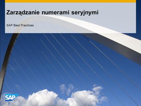 Zarządzanie numerami seryjnymi SAP Best Practices.