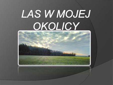 Las znajduje się w miejscowości Olszewo w gminie Śmigiel, powiat Kościan, województwo wielkopolskie. Jest on niewielki. Ma zaledwie 15 hektarów. Przeważają.