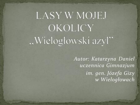 Autor: Katarzyna Daniel uczennica Gimnazjum im. gen. Józefa Gizy w Wielogłowach.