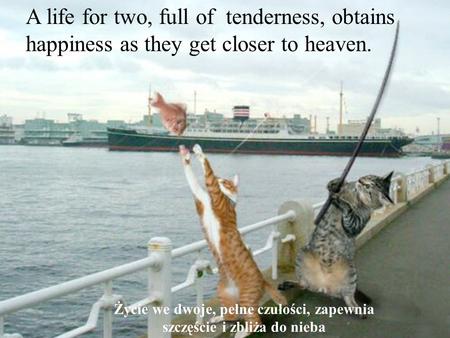 Les meilleures photos de L'année 2005 D'après NBC A life for two, full of tenderness, obtains happiness as they get closer to heaven. Życie we dwoje,