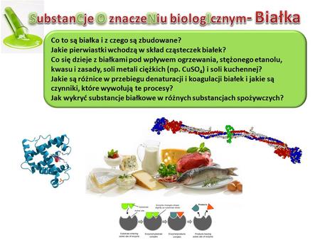 SubstanCje O znaczeNiu biologIcznym- Białka