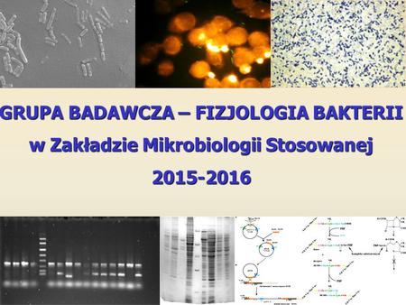 GRUPA BADAWCZA – FIZJOLOGIA BAKTERII w Zakładzie Mikrobiologii Stosowanej 2015-2016.