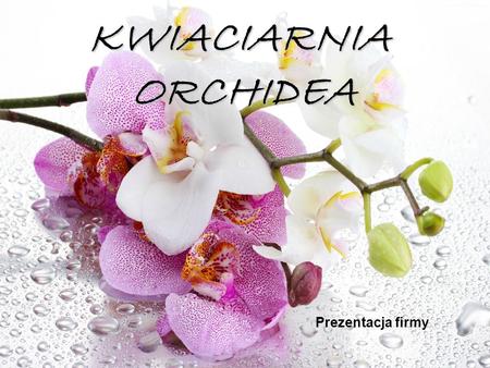 KWIACIARNIA ORCHIDEA Prezentacja firmy.
