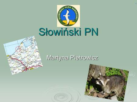 Słowiński PN Martyna Pietrowicz.