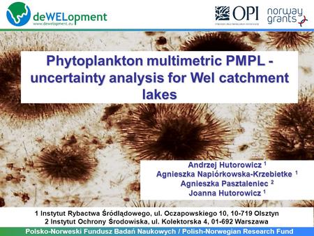 Phytoplankton multimetric PMPL - uncertainty analysis for Wel catchment lakes Andrzej Hutorowicz 1 Agnieszka Napiórkowska-Krzebietke 1 Agnieszka Pasztaleniec.