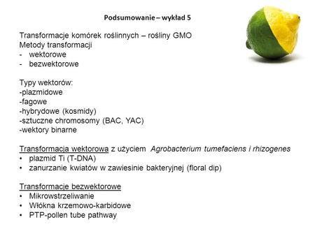 Podsumowanie – wykład 5 Transformacje komórek roślinnych – rośliny GMO