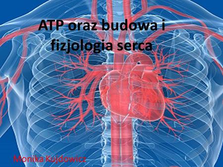 ATP oraz budowa i fizjologia serca