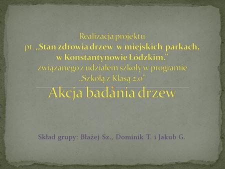 Skład grupy: Błażej Sz., Dominik T. i Jakub G.