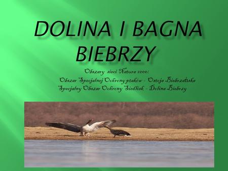 DOLINA I BAGNA BiebrzY Obszary sieci Natura 2000: