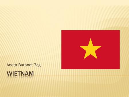 Aneta Burandt 3cg Wietnam.