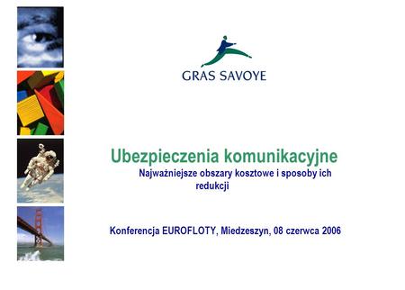 Ubezpieczenia komunikacyjne Najważniejsze obszary kosztowe i sposoby ich redukcji Konferencja EUROFLOTY, Miedzeszyn, 08 czerwca 2006.
